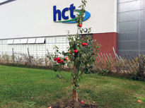 Commercial Landscaping in Hereford from HEC